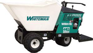 Rental store for Power Buggy in Detroit MI